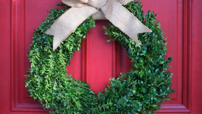 Boxwood-Christmas-Wreath