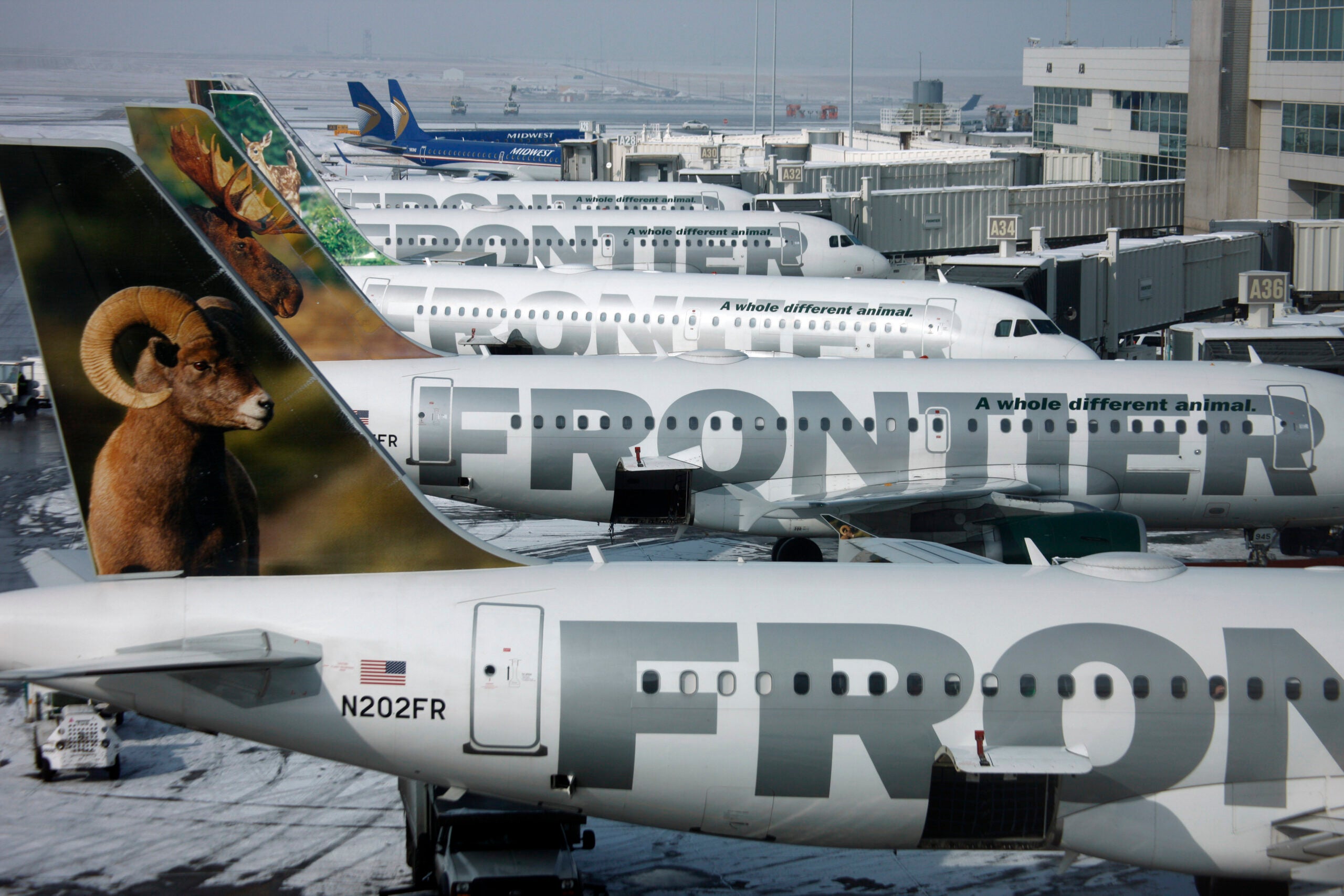 Lowcost airline Frontier launches service out of Logan Airport