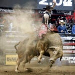 Mason Lowe Pro Rodeo