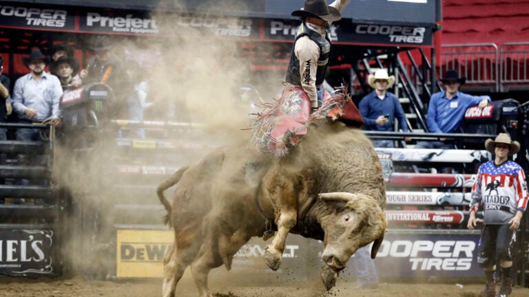Mason Lowe Pro Rodeo
