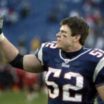 Ted Johnson Patriots