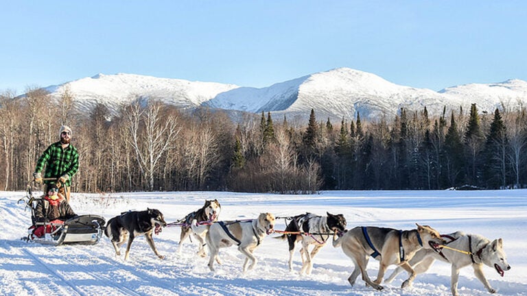 Muddy Paw Dog Sledding