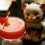 Backbar's cat mascot