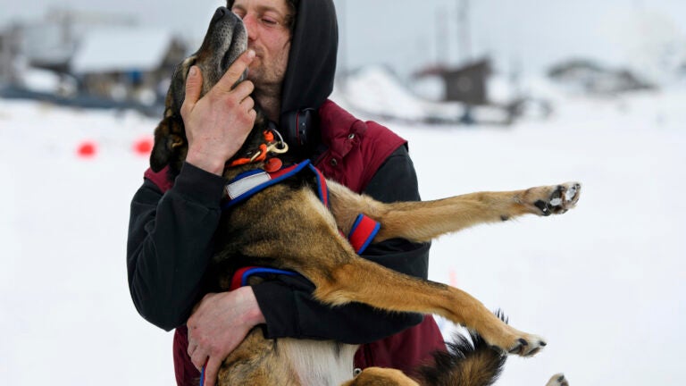 Iditarod 2019, Iditarod Trail Sled Dog Race, Unalakleet