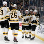 Chris Wagner Boston Bruins NHL