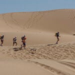Cactus Dog Marathon des Sables