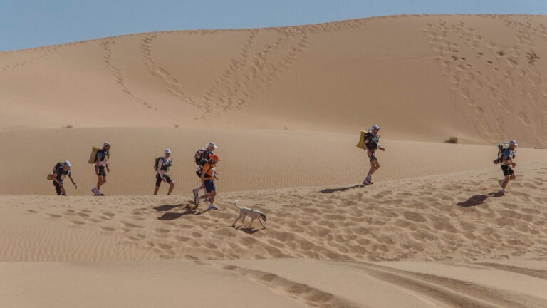 Cactus Dog Marathon des Sables