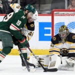 Jaroslav Halak, Bruins, Wild