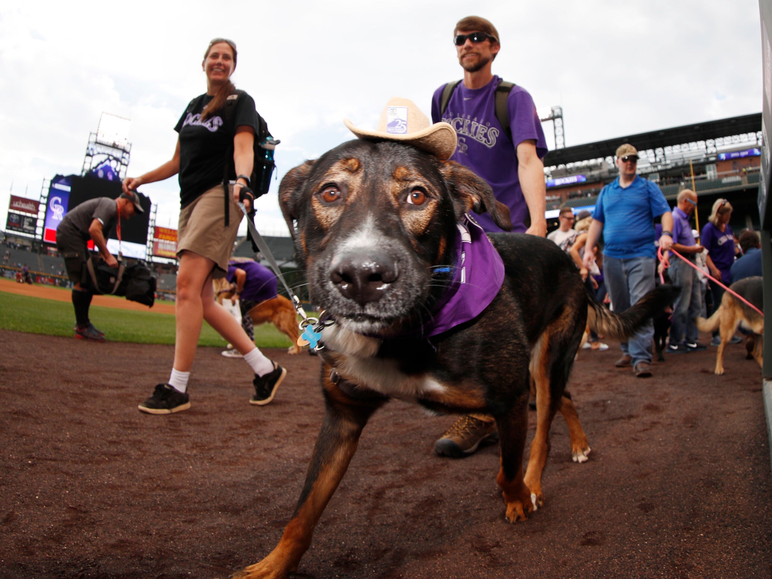 NYM@MIA: Marlins celebrate Bark at the Park day 