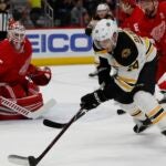 Jake DeBrusk Bruins Red Wings NHL