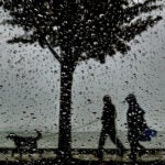 weather forecast thursday june 6