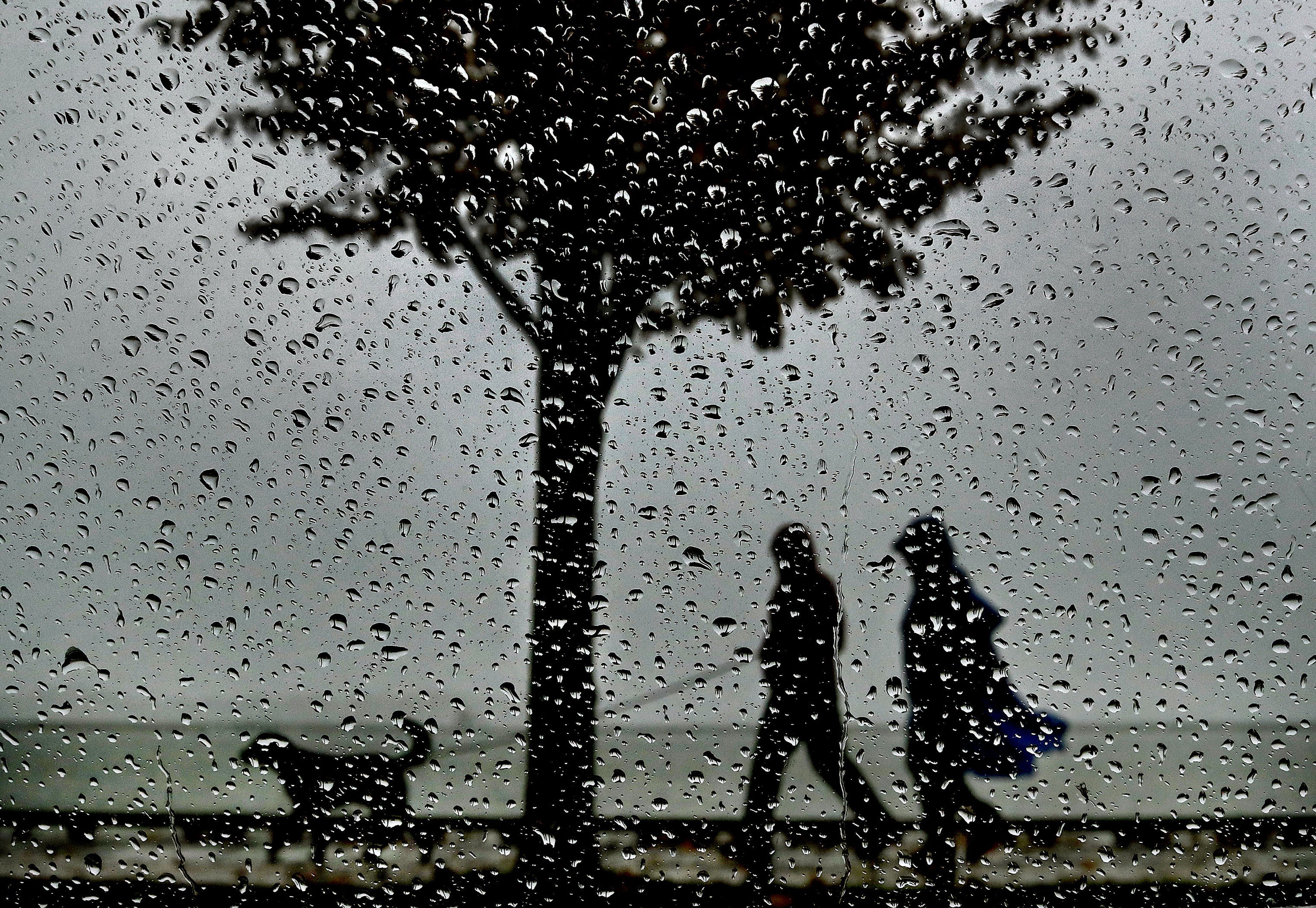 weather forecast thursday june 6