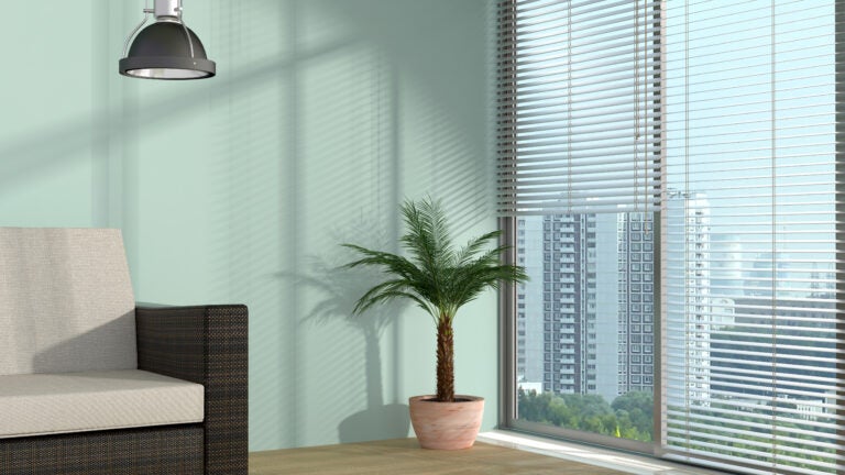 Window-Treatments-City-Adobe-Stock