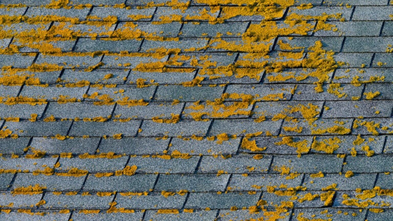 Moss-Shingles-Roof