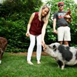 Carolina Hurricanes NHL Hamilton The Pig