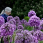 boston weather may 30