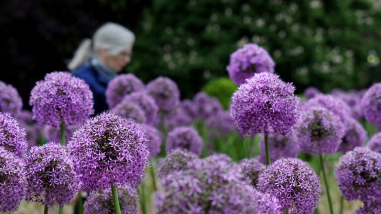 boston weather may 30