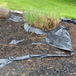 garden-plastic-sheeting