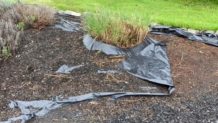 garden-plastic-sheeting