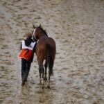 Maximum Security Kentucky Derby