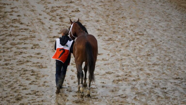 Maximum Security Kentucky Derby