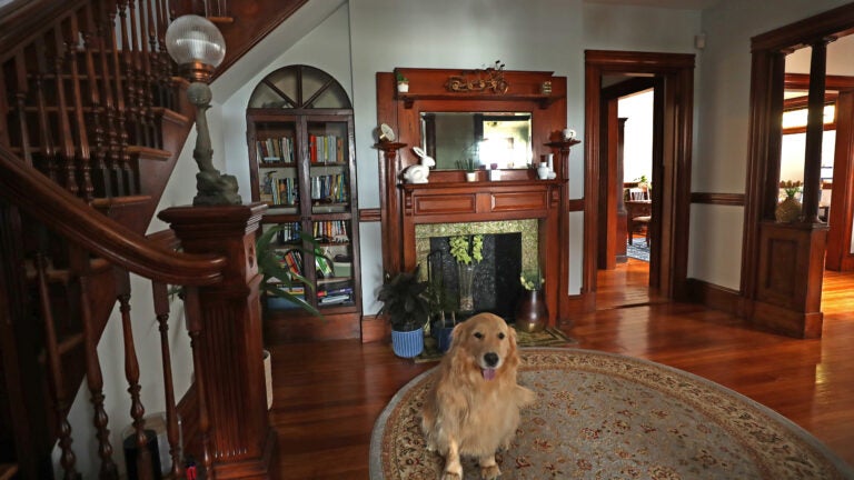 22-Willard-Street-Chelsea-Foyer