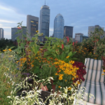 south end garden tour 2019