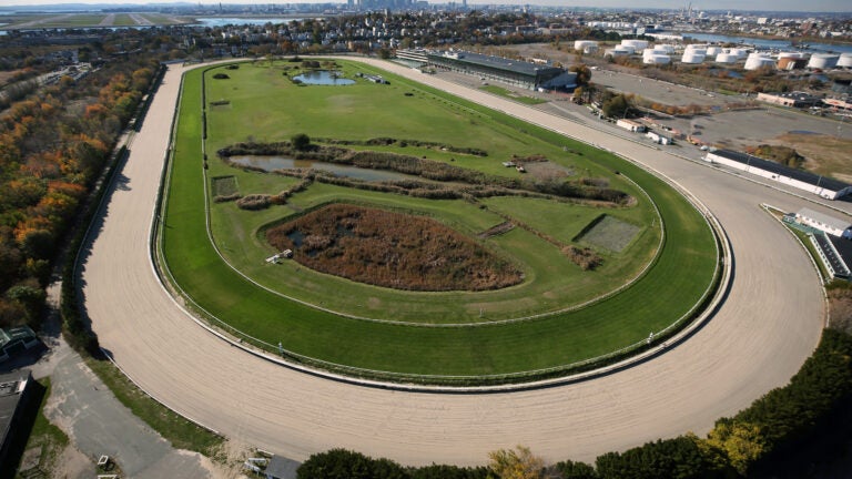 Partake in the Hot Dog Safari Food Truck Festival at Suffolk Downs - Vimarsana News