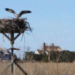 Connecticut-Mansions-Old-Saybrook