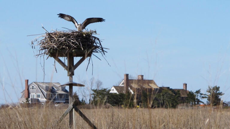 Connecticut-Mansions-Old-Saybrook