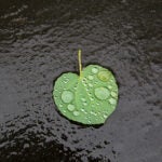 boston-weather-july-11-thursday