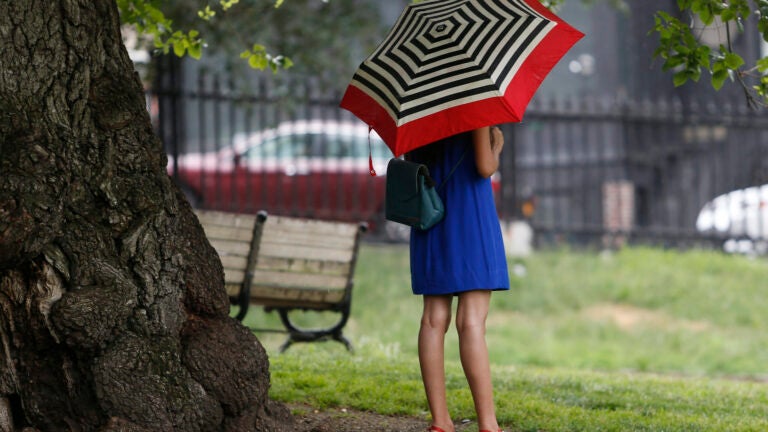 Boston, MA, 07/22/2019 -- A woman stood under a tree on Boston Common as she waited out the rain. (Jessica Rinaldi/Globe Staff)