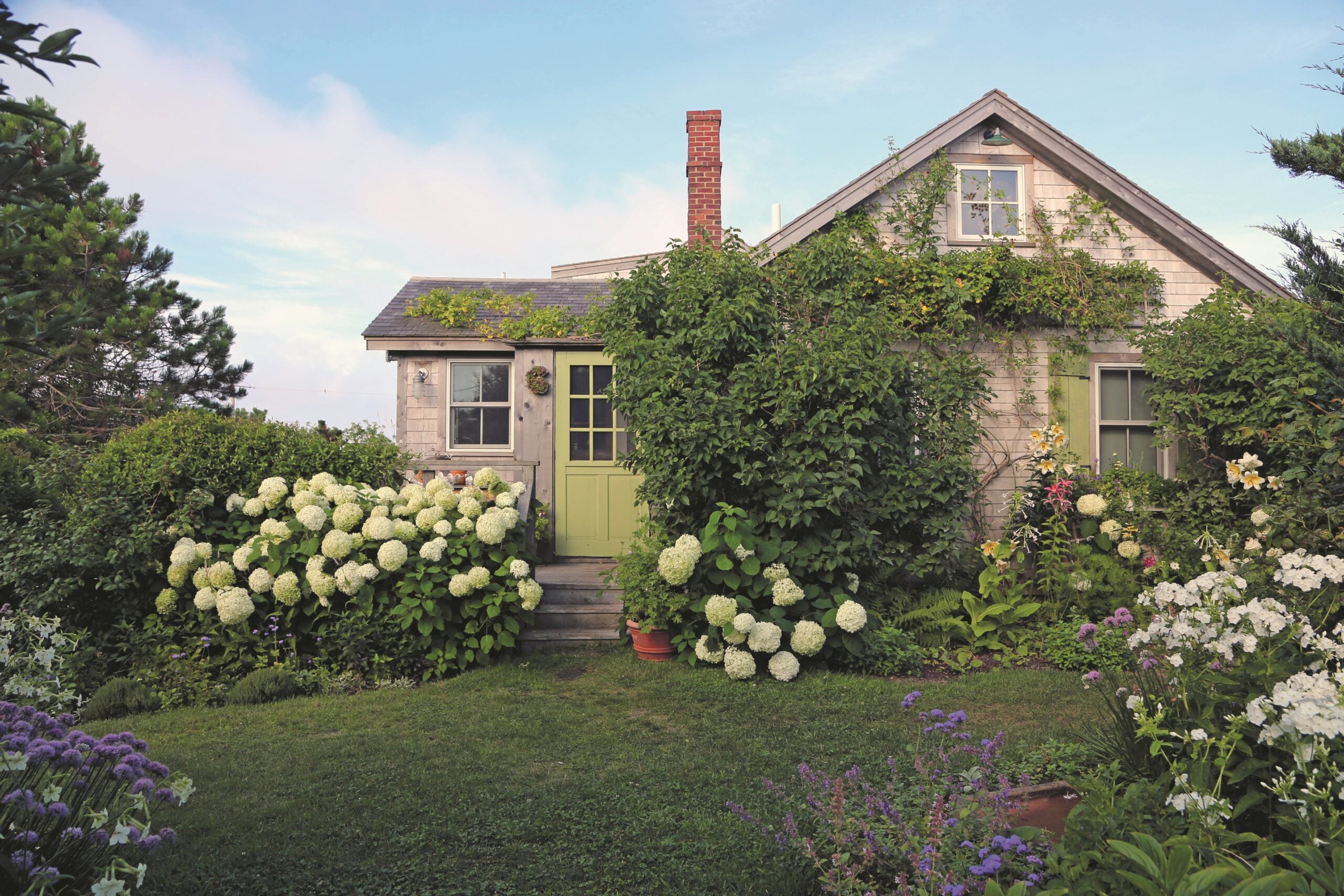 Ask the Gardener: Why your rhododendrons won't bloom