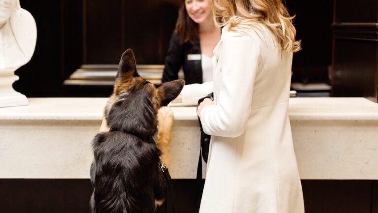 The best pet-friendly hotels in the US