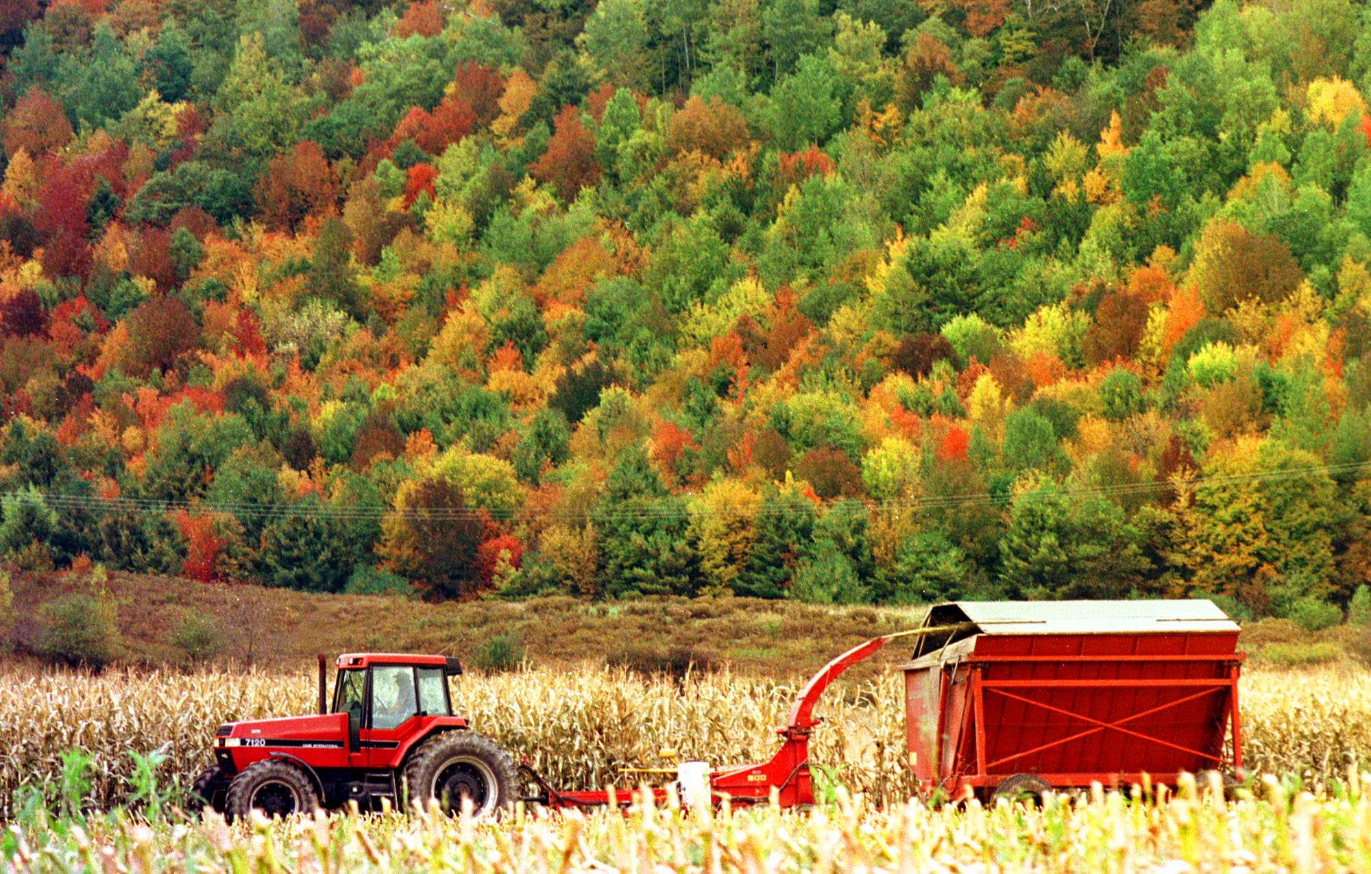 Fall Colours of New England, USA Budget Tour