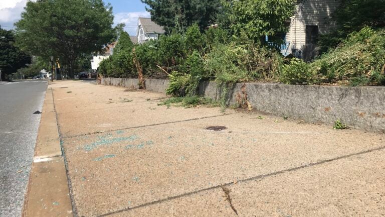 Man shot and killed by officers in Revere identified