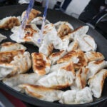 Cambridge Dumpling Festival