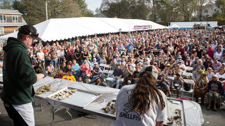 Wellfleet Oyster Fest