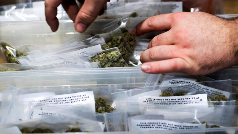 Massachusetts is going ahead with marijuana delivery. Here's how it will  work.