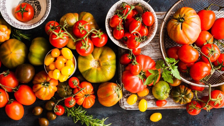 Tomatoes-Stock-Art