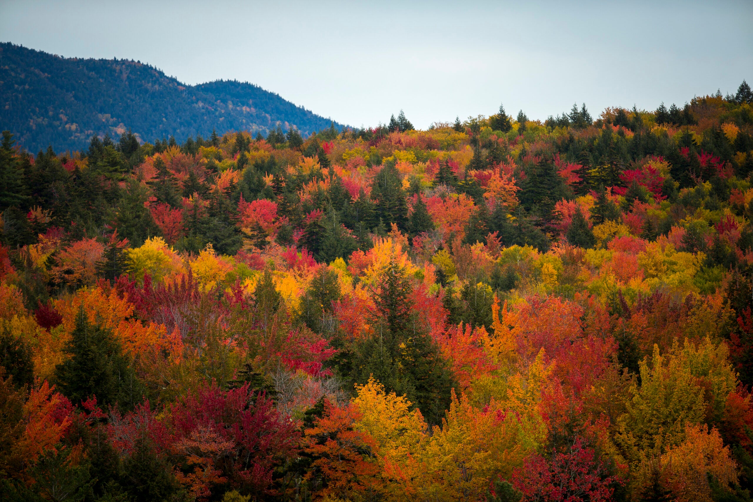 10 Best New England Fall Foliage Destinations