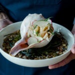 Whelk at Woods Hill Pier 4