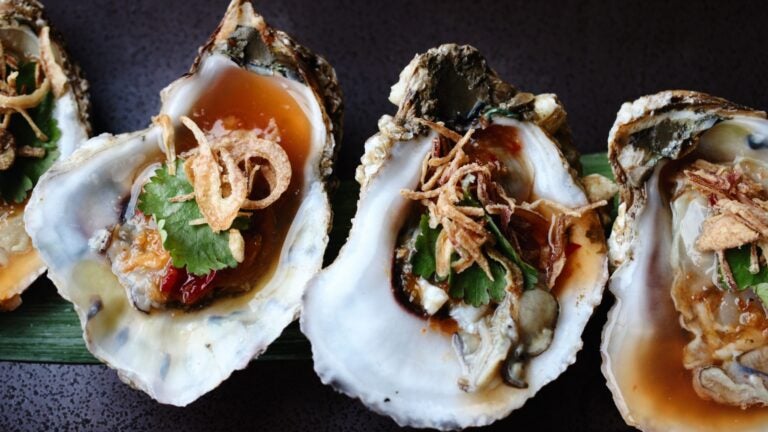 East Coast oyster at Chalawan