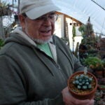 Aer-Scarpa-Gene-Tempest-Succulents