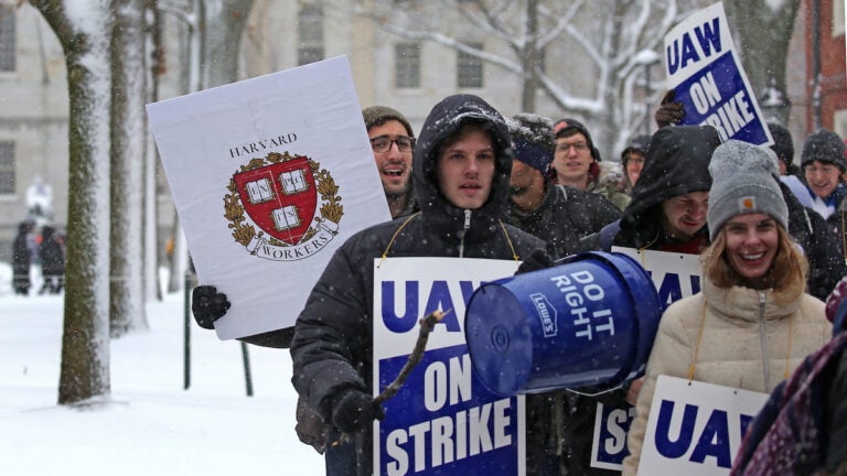 Harvard Grad Students Are Entering Their Second Week On Strike. Here's ...