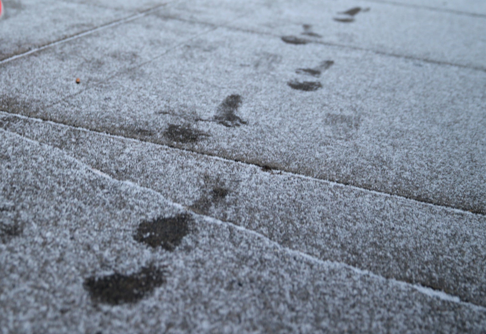 Maps How Much Snow Is Forecast To Fall In Massachusetts On Wednesday   Prints 