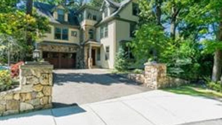 14-Manet-Circle-Newton