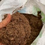 Gardening-Peat-Moss-Lee-Reich