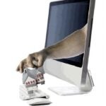 Becker-Adobe-Real-Estate-Fraud