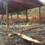 Gardening-disaster-resilient-plants